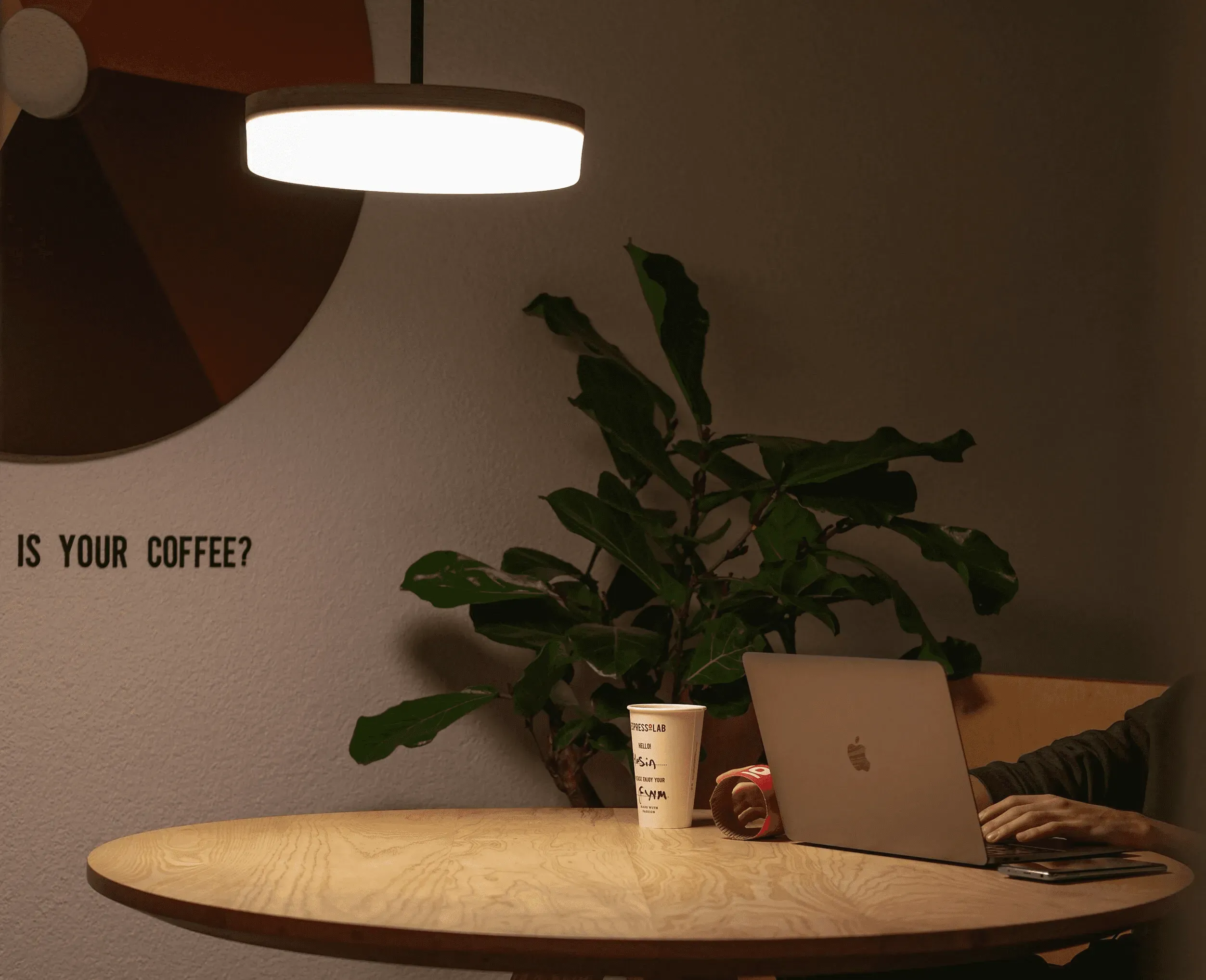 Merchant of Record in Türkiye